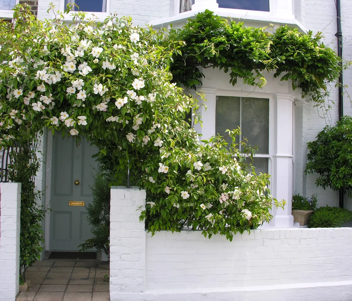 Hurlingham Bed & Breakfast