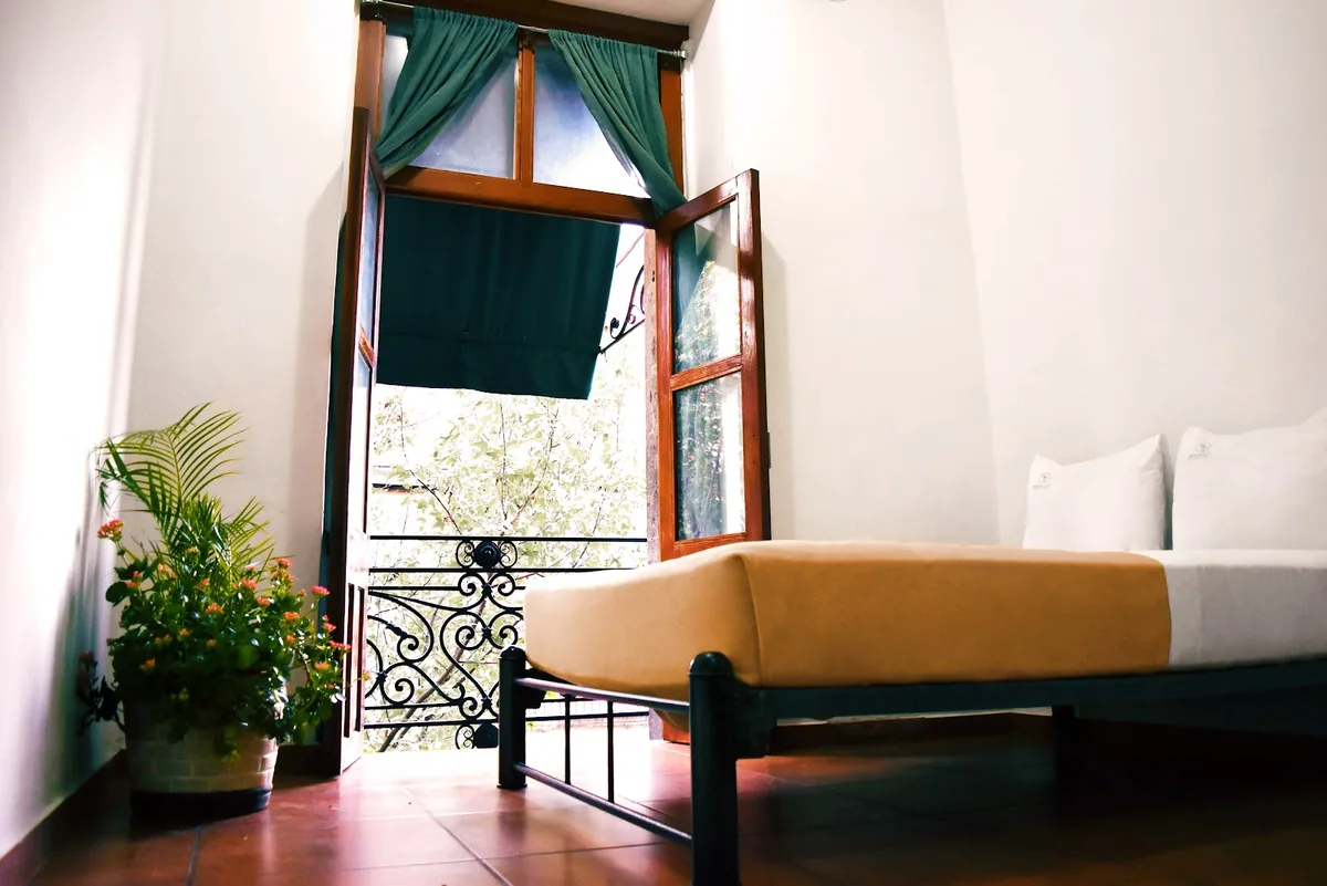 Mexico City Hostel