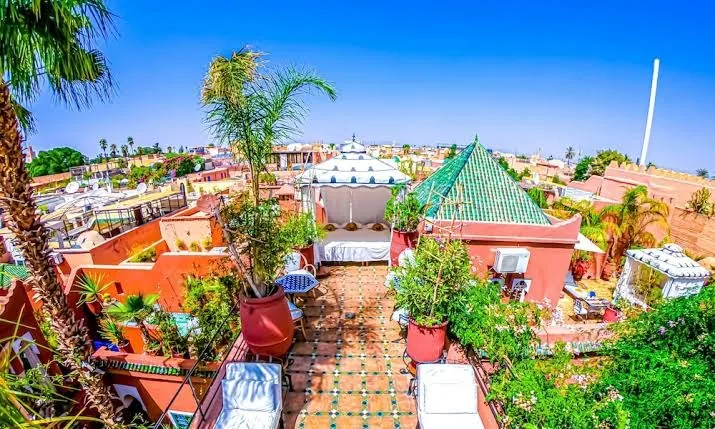 Riad Kaiss By Anika