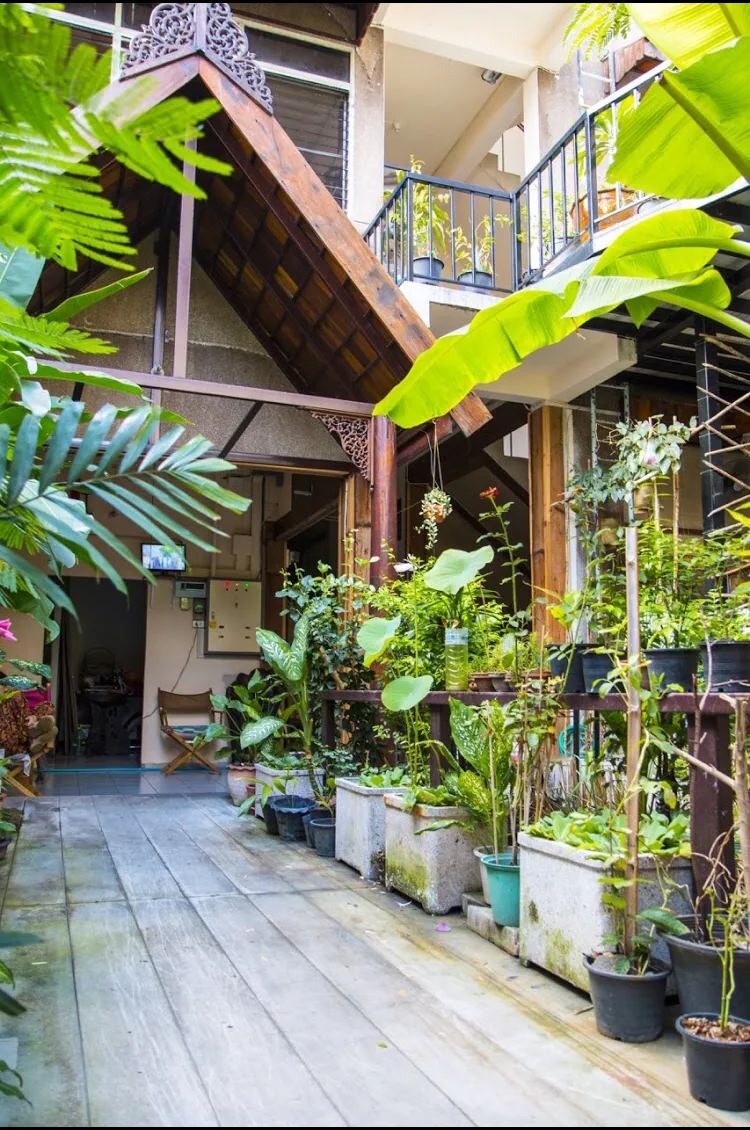 Eco house