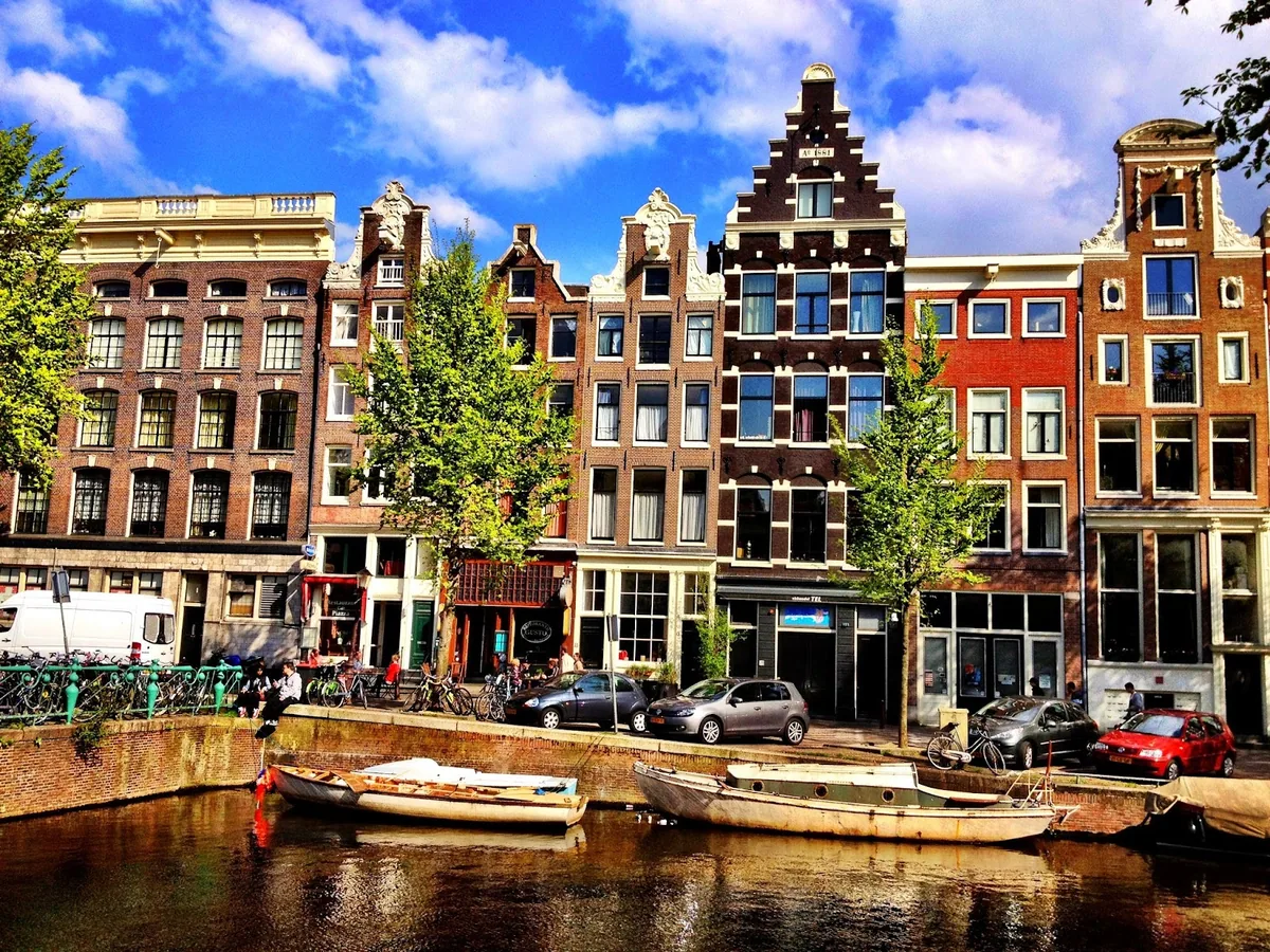 Tulip of Amsterdam